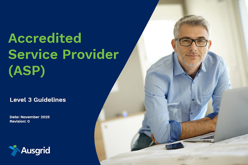 man sitting at a laptop with text Accredited Service Provider (ASP) Level 3 Guidelines