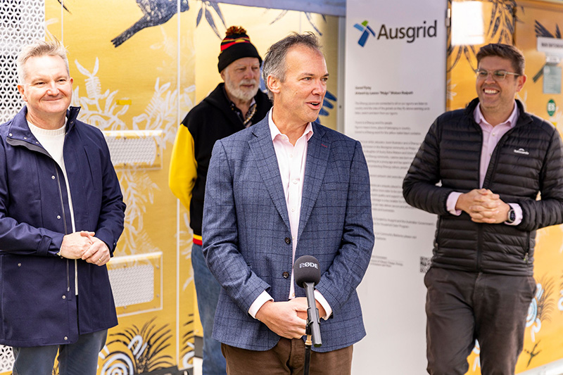 North Epping Ausgrid Community Battery May 2024