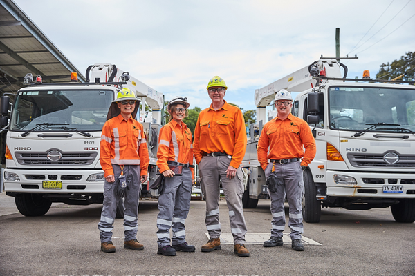 Electricity workers